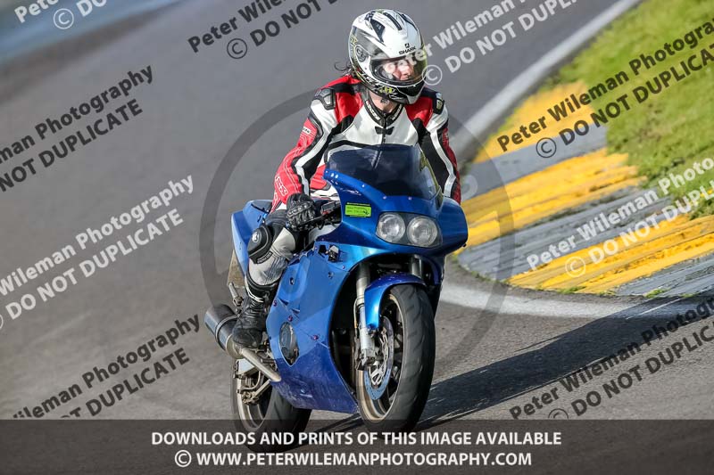 PJ Motorsport 2019;anglesey no limits trackday;anglesey photographs;anglesey trackday photographs;enduro digital images;event digital images;eventdigitalimages;no limits trackdays;peter wileman photography;racing digital images;trac mon;trackday digital images;trackday photos;ty croes